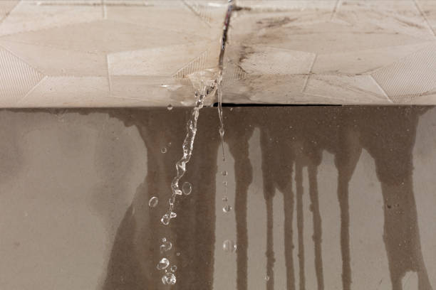 Professional Structural Drying technician working in Belle, MO